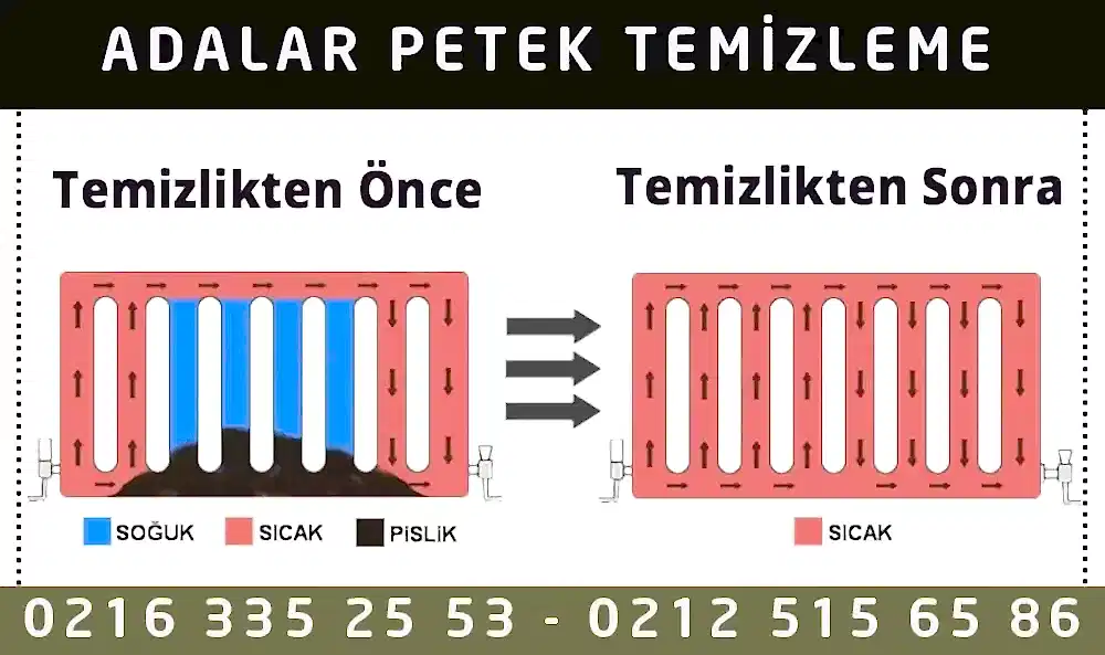 Adalar Petek Temizleme