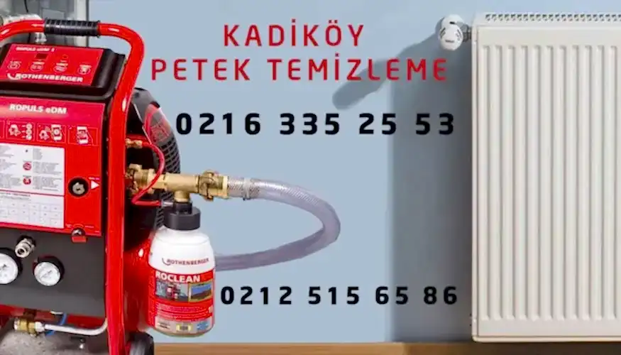 Kadıköy Petek Temizleme