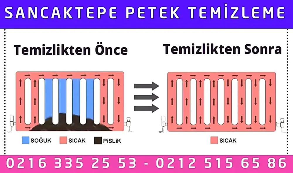 Sancaktepe Petek Temizleme
