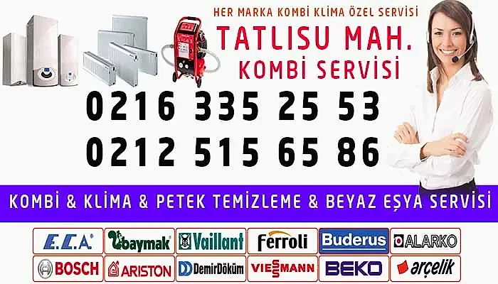 Tatlısu Kombi Servisi
