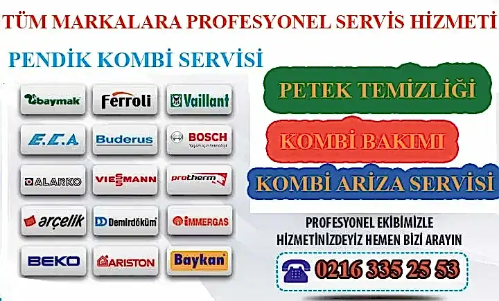 Pendik Kombi Servisi