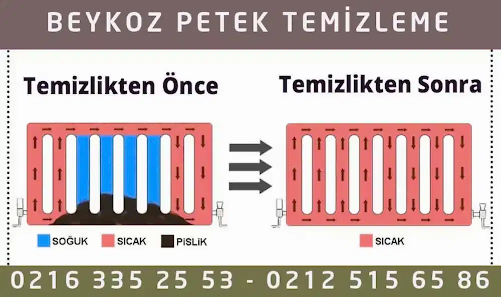 Beykoz Petek Temizleme