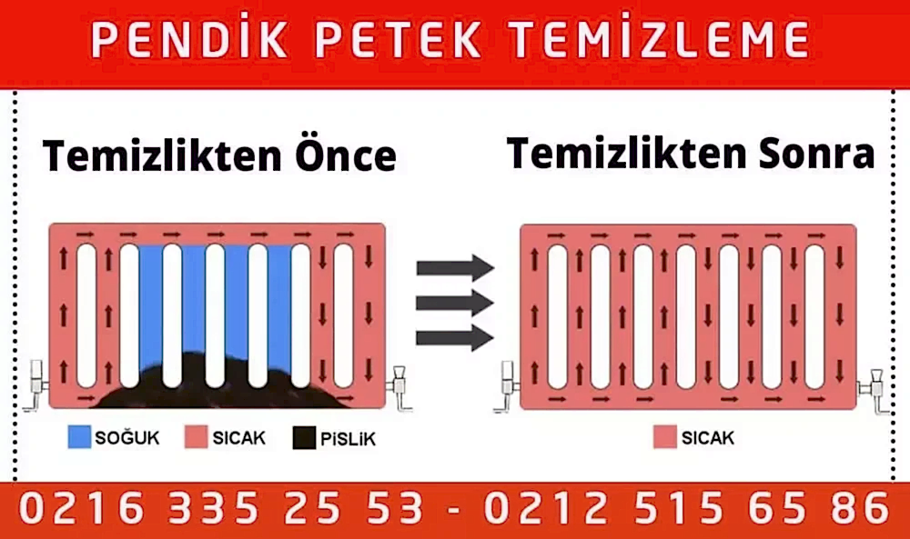 Pendik Petek Temizleme