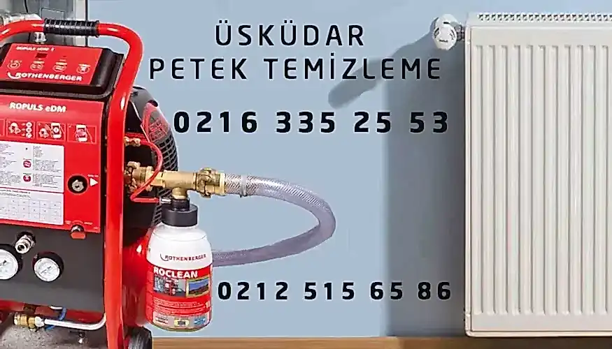 Üsküdar Petek Temizleme