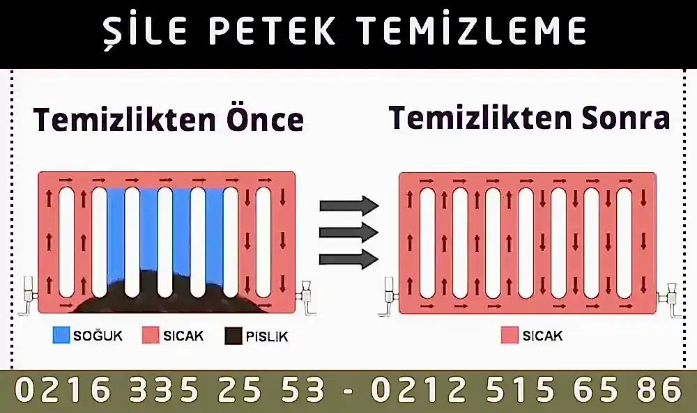 Şile Petek Temizleme